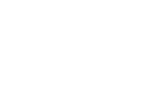 Vertex